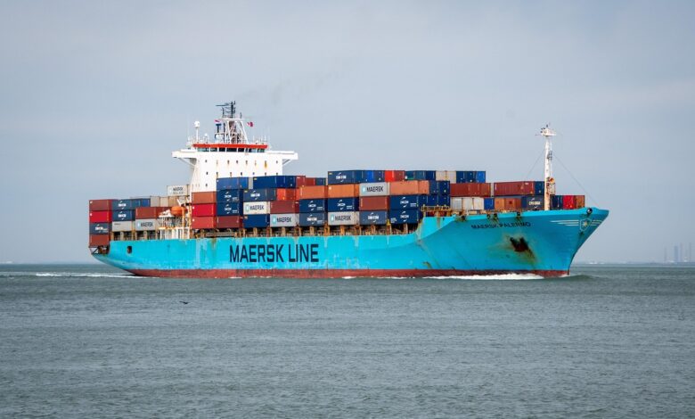 Nemčija in ZDA: Trgovinski dogovor ali ekonomski šok? 1 ships