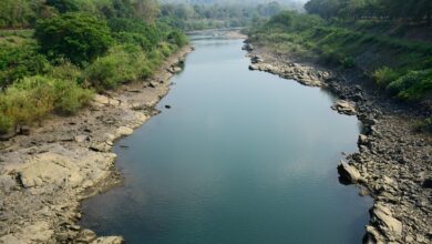 skrb kmetov se je uresnicila vdor morske vode v namakalne sisteme 686cec43a8053 1751968835