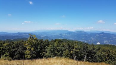 Slovenija: 56 naselij brez prebivalcev v demografskem izzivu 10 slovenija 56 naselij brez prebivalcev v demografskem izzivu 688a418eb3d82 1753891214