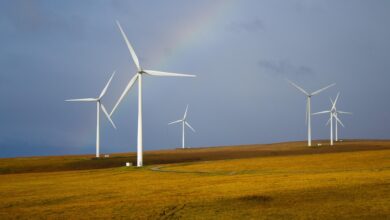 slovenska skupnost nasprotuje vetrni elektrarni v videmski pokrajini 68824a9abd903 1753369242