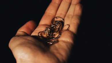 vedezevalska prevara v mariboru oskodovanka ostala brez 225 000 eur 687f5331dc303 1753174833