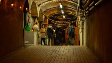 vinagova klet v mariboru odpira prenovljeno dvorano z modernim pridihom 687a8bbbe03ea 1752861627