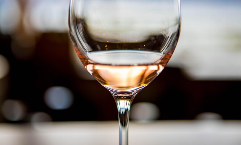 vrhunska vina iz petih drzav blestela na sejmu v gornji radgoni 688274b9e468b 1753380025