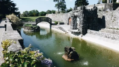 ali bo stanjel ostal brez zascite groznja ukinitve parka 68a08eeb15cc5 1755352811