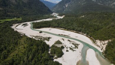 dela na soci pri cezsoci razburila varuhe rek in javnost video 68b32e1950b76 1756573209