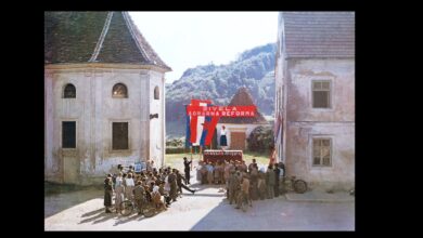 festival dozivi kulaka v jarenini obujanje filmske klasicne komedije 68a09d073ffe8 1755356423