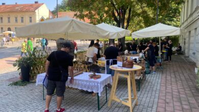 festival vinarium 17 dni kulture kulinarike in vina v lendavi 68a4bbb57e2c5 1755626421