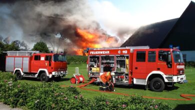 Požari na Balkanu: Evakuacije, smrtne žrtve in kaos 5 fire in nature 1