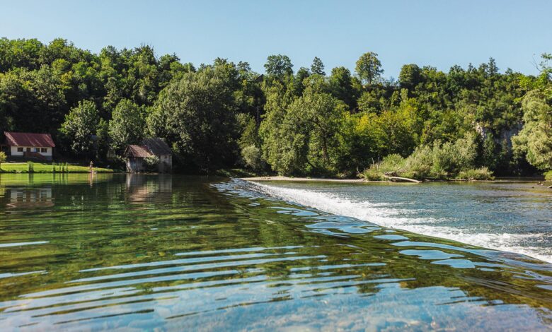 Kolpa vabi k poletni osvežitvi – voda ustreza vsem smernicam NIJZ 1 kolpa vabi k poletni osvezitvi voda ustreza vsem smernicam nijz 688db79a63230 1754118042