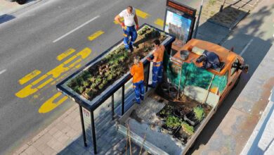 maribor s petimi zelenimi nadstresnicami v boj proti podnebnim spremembam 68b044dd9cf98 1756382429