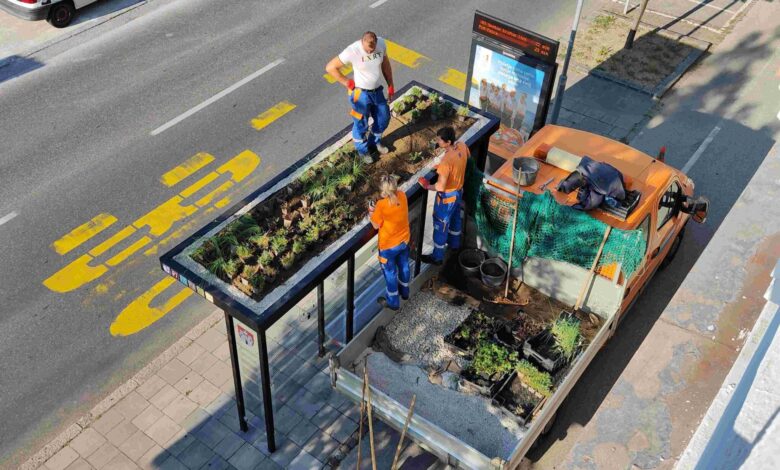 maribor s petimi zelenimi nadstresnicami v boj proti podnebnim spremembam 68b044dd9cf98 1756382429