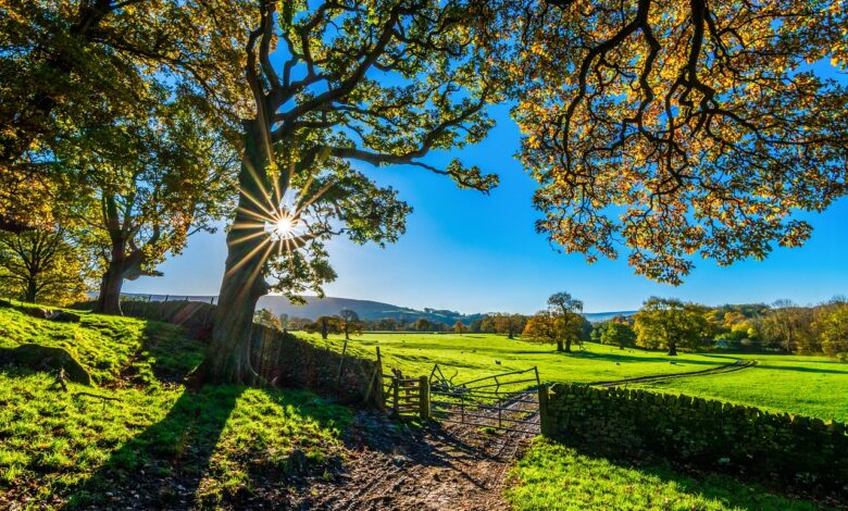 ministrstvo odpira vrata za financno podporo 15 milijona evrov za majhne kmetije 68a580ac3c9d9 1755676844