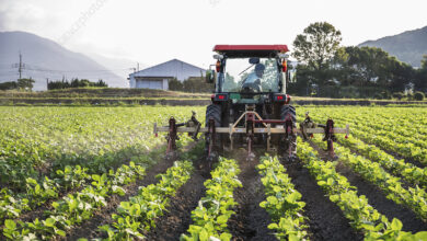 nenavaden incident v dobruski vasi v traktor vrgel lonec 689ae69a80a23 1754982042