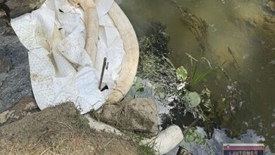 neznana snov v scavnici ogroza ribe hitri ukrepi gasilcev 688fa3bd503c0 1754244029