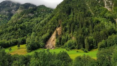 Nova Gorica se loteva prelomne sanacije plazu v Šmihelu 7 nova gorica se loteva prelomne sanacije plazu v smihelu 689c703aba6e4 1755082810