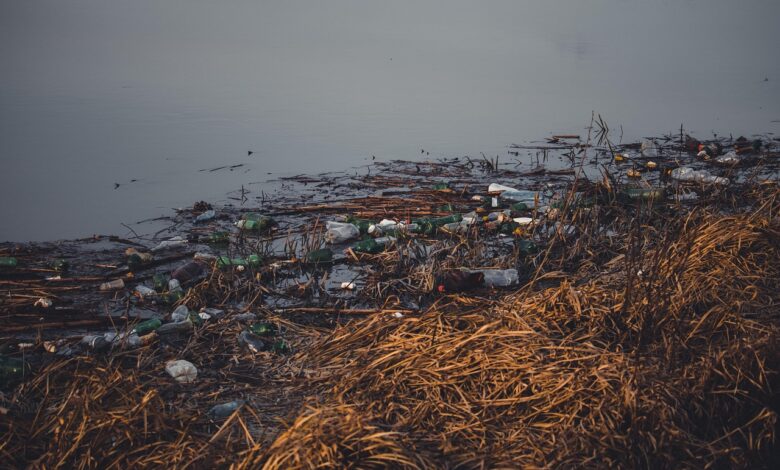 plastika v prehranjevalni verigi ali svet koncno ukrepa 6892389b669dd 1754413211