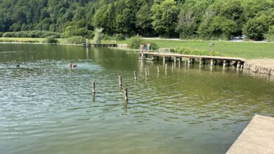 podpesko jezero zaprto za kopanje zaradi nevarnih bakterij 68affe81c4a77 1756364417