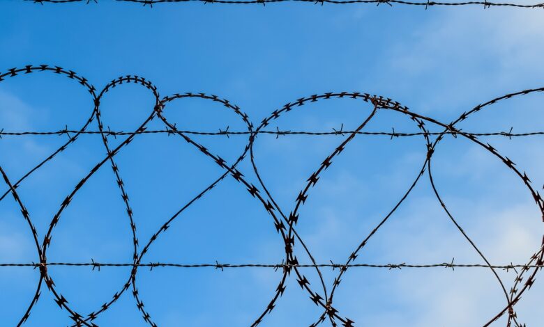 slovenski zapori na robu zmogljivosti 50 zapornikov tujcev 689ca88b38054 1755097227