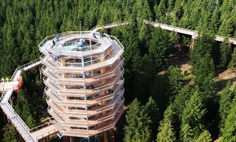 Štajerska navdušuje: Turistične nočitve skokovito narasle! 1 stajerska navdusuje turisticne nocitve skokovito narasle 68985fa66b090 1754816422