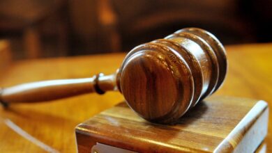Višje sodišče potrdilo kazen za uboj v Kočevju: Sedem let zapora za Majo Nosan 3 visje sodisce potrdilo kazen za uboj v kocevju sedem let zapora za majo nosan 689c9a88af603 1755093640