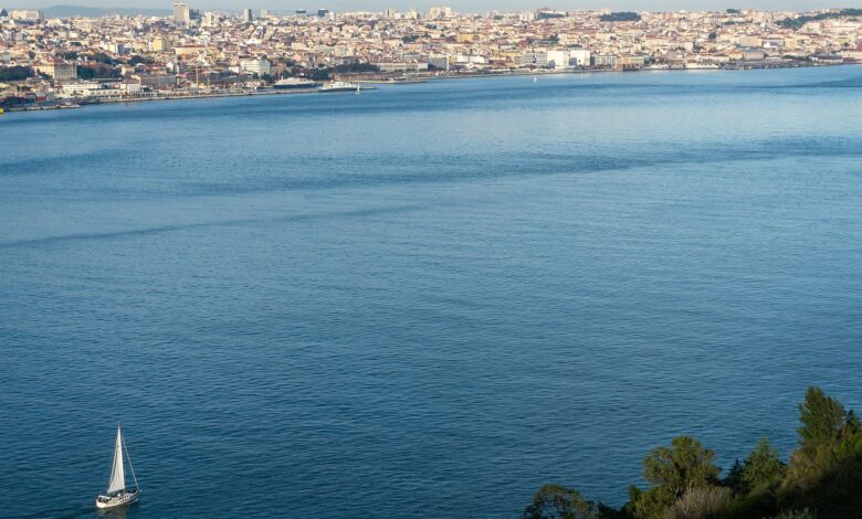 vrocinski val na portugalskem 1331 smrti v treh tednih 68aa01c67afe1 1755972038