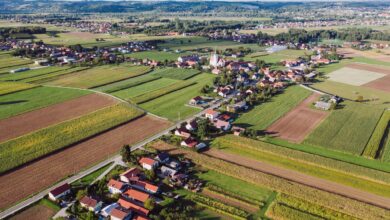 zakljucek projekta v hajdini sticisce srecnih dozivetij navdusuje 68b33c34141e7 1756576820