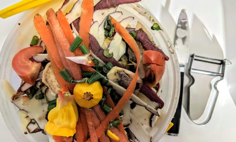 Alarmantni podatki za leto 2024: Rekordne količine zavržene hrane v Sloveniji 1 alarmantni podatki za leto 2024 rekordne kolicine zavrzene hrane v sloveniji 68d64825a6a4c 1758873637