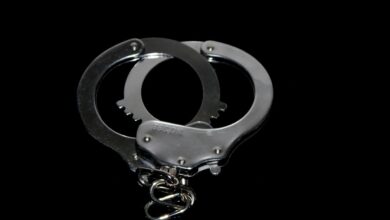 drama v ljubljani policija odkrila skrivnostno konopljino polje 68c29db269d7e 1757584818