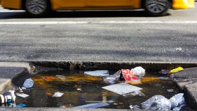 ekologi brez meja in eurowag zdruzujejo moci proti smetenju 68cacd0811618 1758121224