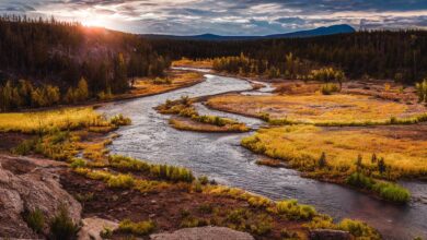 kako umetna inteligenca spreminja prihodnost vremenskih napovedi 68c30e4a37705 1757613642