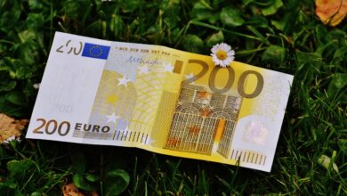 koprska obcina ponuja stipendije za mlade talente doma in v tujini 68da74e29a8f9 1759147234