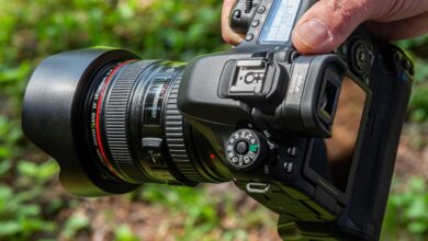 Maribor v znamenju fotografije: Jubilejni festival navdušuje 9 maribor v znamenju fotografije jubilejni festival navdusuje 68c6ae5573c0d 1757851221