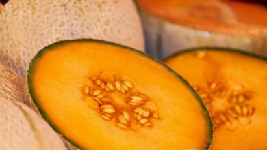 Melona kot orožje: Nenavaden izbruh jeze v Piranu šokiral domačine 5 melona kot orozje nenavaden izbruh jeze v piranu sokiral domacine 68c3003123265 1757610033