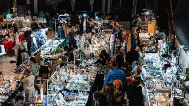 mineralfest 2025 v ljubljani odkrijte svet kristalov in fosilov 68cecf90851d2 1758384016