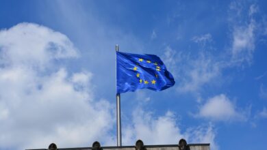 mladi evropejci navduseni nad siritvijo eu razkriva raziskava 68b87418f2ca5 1756918808