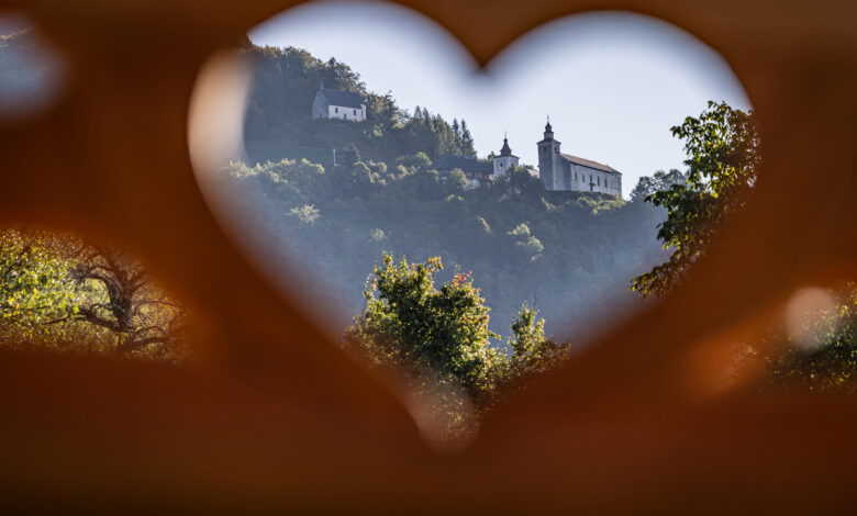 na dobrodelnem pohodu na sv primoza zbrali vec kot 9 700 evrov 68cfccac33391 1758448812