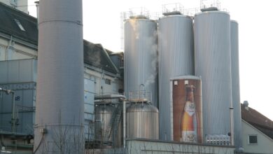 nemcija prevzema vodstvo evropska proizvodnja piva v stevilkah 68b722a28fcb8 1756832418