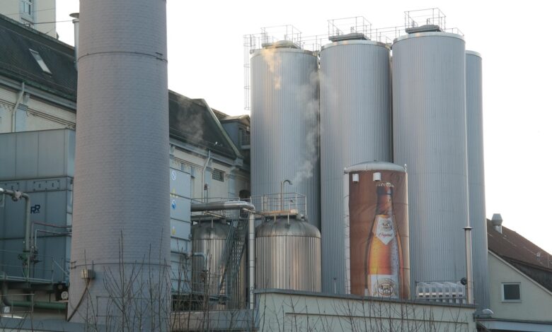 nemcija prevzema vodstvo evropska proizvodnja piva v stevilkah 68b722a28fcb8 1756832418