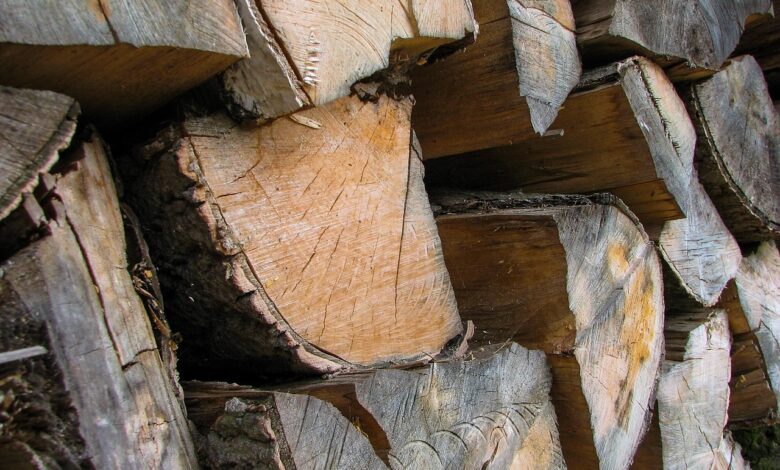 nevarnosti neustreznega ogrevanja v sloveniji kako izboljsati kakovost zraka 68d5753310eae 1758819635