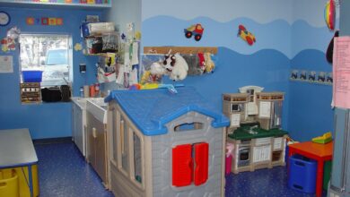 nov zakon o vrtcih priloznost za javne groznja za zasebne 68cd45e12add4 1758283233