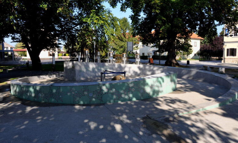 zalec odpira novo pespot odkrijte pot od hmelja do piva 68bd49aae4604 1757235626