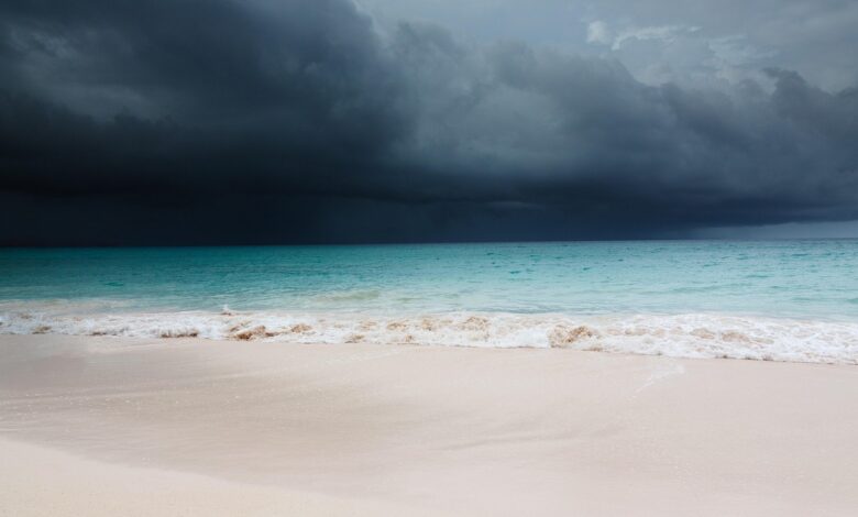 caribbean