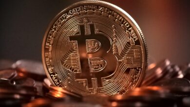 Ameriška vlada zasegla rekordnih 14 milijard dolarjev v bitcoinih 1 crypto