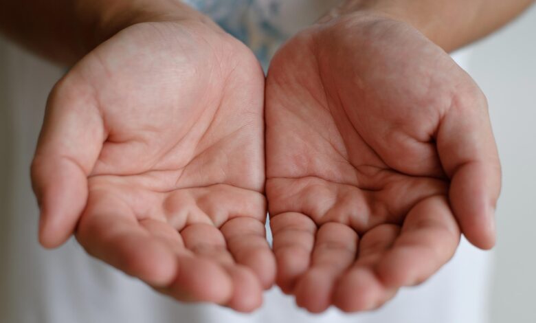 dobrodelni koncert v novi gorici odpiramo dlani za upanje 68e8e736b0f28 1760094006