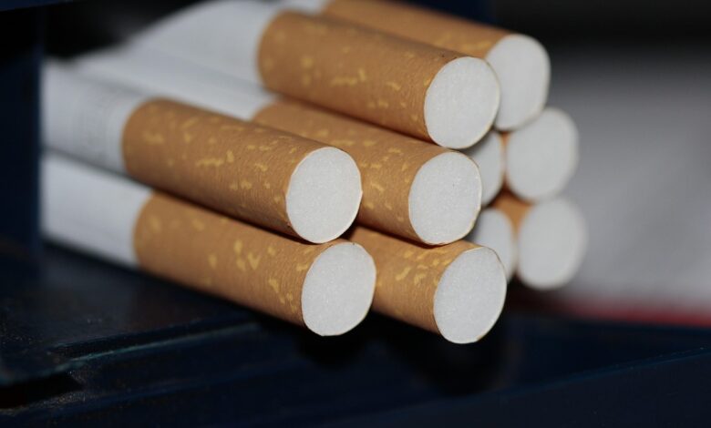 hrvaska carinska uprava zasegla rekordne milijone cigaret na meji s slovenijo 68f33b22c08a1 1760770850