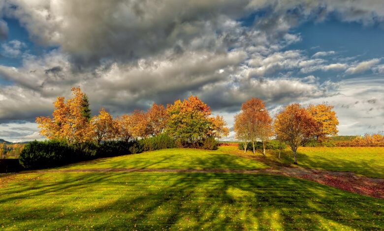 krompirjeve pocitnice soncni dnevi in obcasne plohe 68fe53b0ef503 1761498032