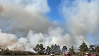 nepravilnosti pri gasilski vaji na vremscici ogrozajo varnost 68f678c242d36 1760983234