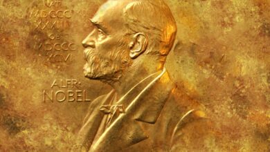 nobelova nagrada za kemijo priznava preboj v kovinsko organskih ogrodjih 68e67c9ee13fa 1759935646