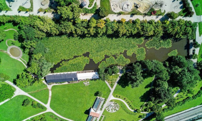 Potapljači v Ljubljani v akciji: Reševanje ekosistema ribnika 1 potapljaci v ljubljani v akciji resevanje ekosistema ribnika 68e4e4b1488bd 1759831217