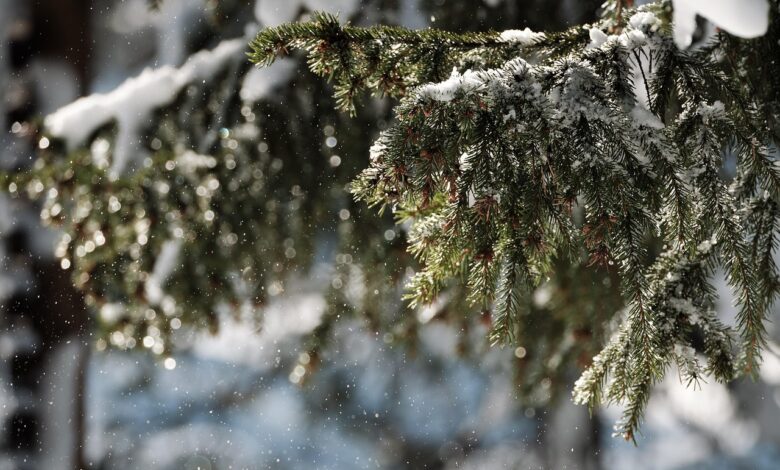 prihaja hladna fronta nevarnost vremenskih motenj arso opozarja na tezave na cestah in z elektriko 68e0e22baea38 1759568427